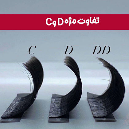 5 تفاوت استایل C و D  که باید بدانید